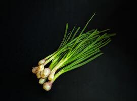 A bunch of green onions on a black background photo