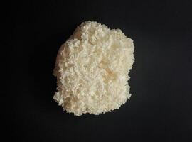 White dried Snow Fungus on black background photo