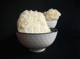 Dried snow fungus in a white bowl photo