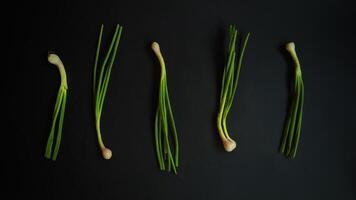 Five green onions are arranged on a black background photo