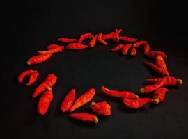 Front view of circle of red hot peppers on a black background photo