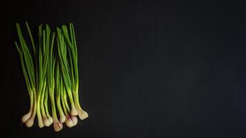 A bunch of green onions on a black background with negative space photo