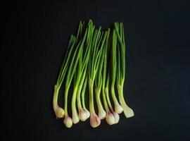 A bunch of green onions on a black background. Top View photo