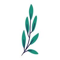 Simple, stylized olive branch with seven leaves in shades of green and blue. Perfect for minimalist designs, branding, and social media graphics. vector