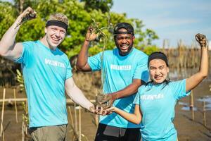 Group of happy volunteers with tree seedlings, Volunteer helpers planting trees in mangrove forest for environmental protection and ecology, reduce global warming, Charity work photo