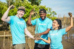 Group of happy volunteers with tree seedlings, Volunteer helpers planting trees in mangrove forest for environmental protection and ecology, reduce global warming, Charity work photo