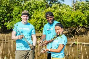 Group of happy volunteers with tree seedlings, Volunteer helpers planting trees in mangrove forest for environmental protection and ecology, reduce global warming, Charity work photo