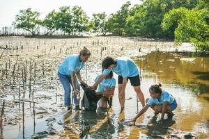 Group of happy volunteers with tree seedlings, Volunteer helpers planting trees in mangrove forest for environmental protection and ecology, reduce global warming, Charity work photo