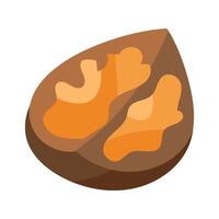 Walnut Split In Half Nut Shell With Ripe Core Icon vector