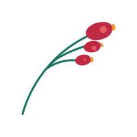 Thin Sprig Of Barberry With Red Berries Icon vector