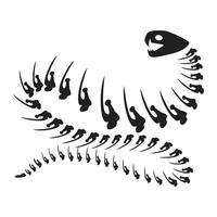 Decayed Aggressive Snake Dried Skeleton Bone vector