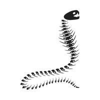 Decayed Cobra Open Hood Dried Skeleton Bones vector