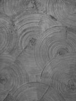Textured plaster in the form of intersecting circles. Wall decoration. Background for various inscriptions photo