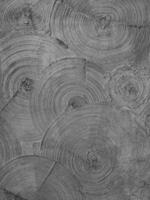 Textured plaster in the form of intersecting circles. Wall decoration. Background for various inscriptions photo