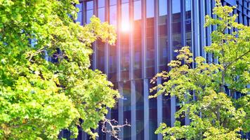 City life, urban landscape and ecology. Modern office complex with glass facades and smooth lines against backdrop of green trees, concept of modern architecture. Organically building into nature. photo
