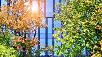 City life, urban landscape and ecology. Modern office complex with glass facades and smooth lines against backdrop of green trees, concept of modern architecture. Organically building into nature. photo