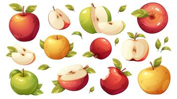 Set of apples in yellow, green and red colors. Whole apple, half apple, cut apple. elements on white background vector