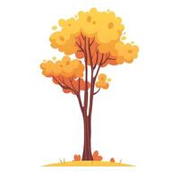 Autumn tall tree with branches and yellow leaves. Flat illustration, fall foliage on white background vector