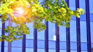 City life, urban landscape and ecology. Modern office complex with glass facades and smooth lines against backdrop of green trees, concept of modern architecture. Organically building into nature. photo