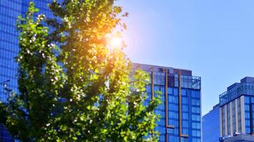 City life, urban landscape and ecology. Modern office complex with glass facades and smooth lines against backdrop of green trees, concept of modern architecture. Organically building into nature. photo
