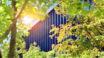 City life, urban landscape and ecology. Modern office complex with glass facades and smooth lines against backdrop of green trees, concept of modern architecture. Organically building into nature. photo
