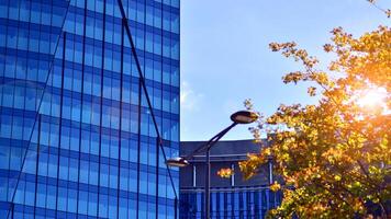 City life, urban landscape and ecology. Modern office complex with glass facades and smooth lines against backdrop of green trees, concept of modern architecture. Organically building into nature. photo