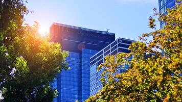 City life, urban landscape and ecology. Modern office complex with glass facades and smooth lines against backdrop of green trees, concept of modern architecture. Organically building into nature. photo