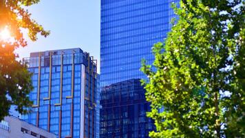 City life, urban landscape and ecology. Modern office complex with glass facades and smooth lines against backdrop of green trees, concept of modern architecture. Organically building into nature. photo