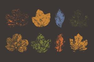 Autumn grunge leaves. Collection of leaves imprints in autumn colors. Hand painted design. vector