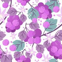 seamless pattern of grape vector