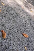 Light grey color small stones on ground surface with yellow fallen leaves texture top view photo