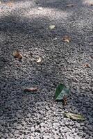 Light grey color small stones on ground surface with yellow fallen leaves texture top view photo