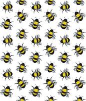 Seamless pattern of color sketch bumblebee vector