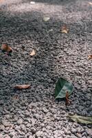 Light grey color small stones on ground surface with yellow fallen leaves texture top view photo