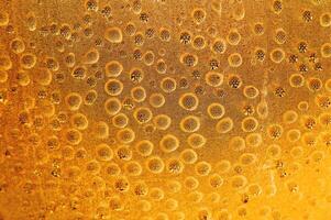 Drops of golden honey hang from the fabric in shallow depth of field. Concept of honey production and background for honey drinking culture photo