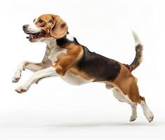 Beagle dog running and jumping, side view, white background, in the style of high definition photography, photo
