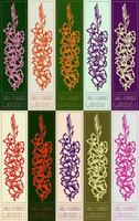 Set of drawing LARGE-FLOWERED GLADIOLUS in various colors. Hand drawn illustration. Latin name is GLADIOLUS L. vector