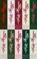 Set of drawing PRIMULINUS in various colors. Hand drawn illustration. Latin name is GLADIOLUS L. vector