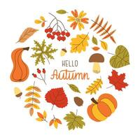 Hello autumn circle frame with leaves, mushroom, acorn, pumpkin and berries. Hand drawn Fall elements collected with circle with lettering Hello autumn. Simple illustration for posters postcards vector