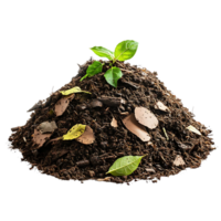 Growing a New Plant in Rich Soil with a Transparent Background png