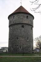 Medieval tower and museum Kiek in de Kok in park on hill Toompea in Tallinn, Estonia photo