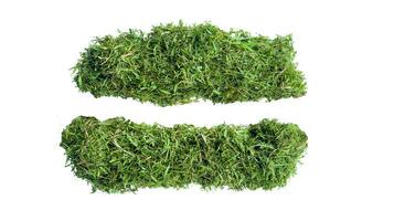 Equal sign crafted from grass clippings, precisely clipped with clipping paths, set against white background, photo