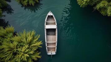 top down view of an empty boat in a crystal-clear river lined with green bushes photo