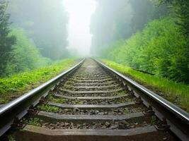 disused railroad line in the landscape photo