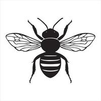 Honey Bee silhouette isolated on white background. vector