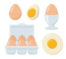 Set of fresh eggs in box, fried and boiled eggs. Ingredients for baking and cooking. Healthy organic food. vector