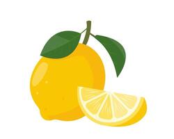 Fresh yellow Lemon fruit with leaves and part of lemon. Organic fruit for lemonade juice or detox smoothie, vitamin C healthy food. vector