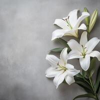 Elegant white lilies arranged against a soft gray background in a minimalist floral composition photo