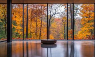 Bright space, floor-to-ceiling window, view of misty autumn woods outside, colorful foliage photo
