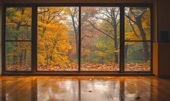 View from the large window on misty autumn landscape photo